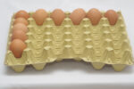 20 lbs Eiertray (30 Eier, 66–84 g) - Image 6