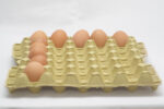 20 lbs Eiertray (30 Eier, 66–84 g) - Image 7
