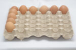 Eurotray 1 Eiertray (30 Eier, 60–72 g) - Image 13
